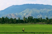 6 Hidden Gem Wisata Indonesia yang Wajib Dikunjungi Sebelum Terlambat!