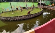 Semarang Zoo Tawarkan Diskon Tiket dan Wahana Baru Sambut Libur Nataru 2025