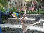 Liburan Sekolah di Bandung Ajak Anak ke Surga Wisata Burung di Tengah Kota yang Menakjubkan