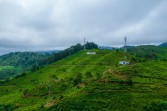 Rekomendasi Villa Murah di Puncak Bogor, Villa Hanum Muat untuk 10 Orang