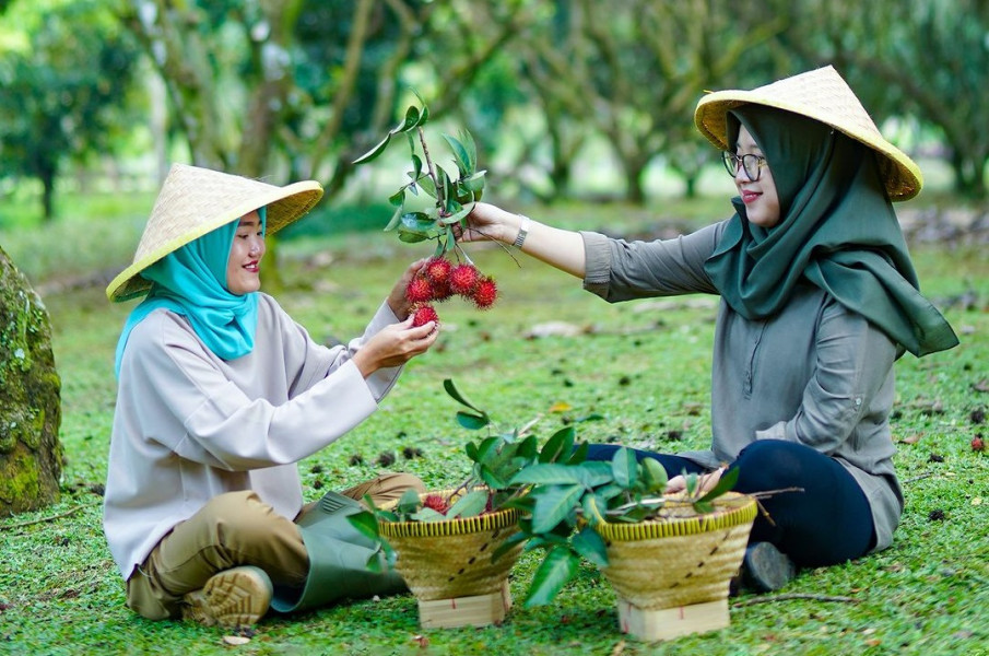 Tempat Wisata Baru Buat Piknik Saat Lebaran, Bogor Ternyata Punya Tempat Sekece Ini