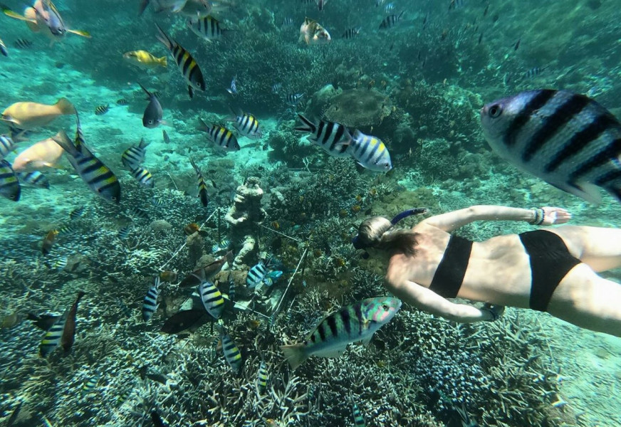 Jelajahi Keindahan Bawah Laut Bali Snorkeling di Nusa Lembongan, Surga Karang dan Ikan Tropis Tersembunyi Timur Bali