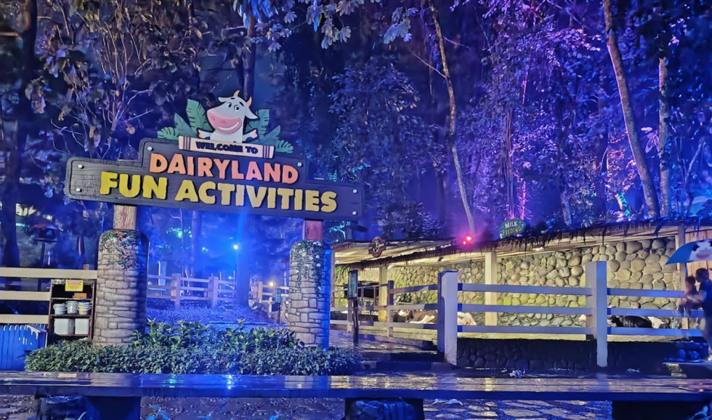 Wisata Malam Ala Disney Jangan di Singapura, ke Bandung Aja Modal Rp50 Ribu Puas Main di Hutan Tropis Ini yang Gemerlap