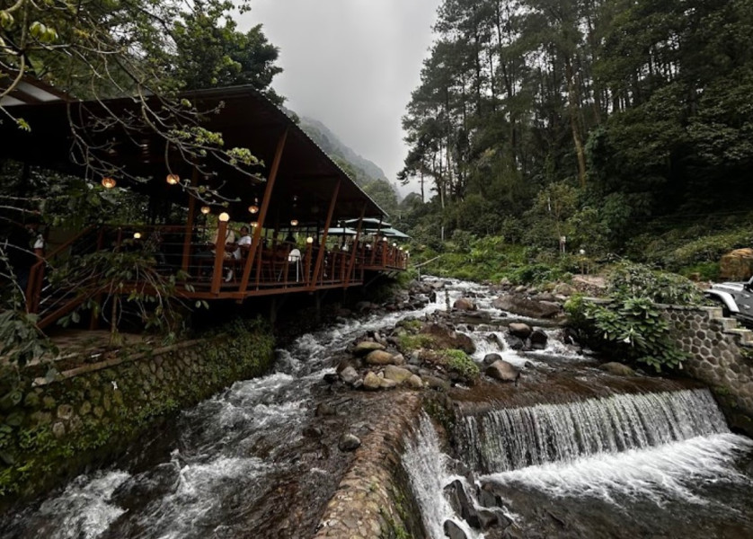 Liburan Glamping Keluarga yang Menyenangkan di Atas Sungai Jernih dan Pemandangan Gunung, Ini Review Taman Kopi Gantung Kabupaten Bandung