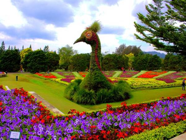 Taman Bunga Nusantara, Tempat Wisata Paling Family Friendly yang Wajib Kamu Kunjungi