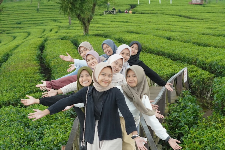 Wisata Kebun Teh di Yogyakarta Ini Jadi Objek Wisata Alam yang Semakin Populer