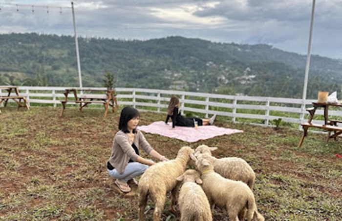 Pertama di Bogor, Resto Berkonsep Unik dengan Mini Zoo: Makan Sambil Ngasih Makan Ternak Bikin Anak Senang