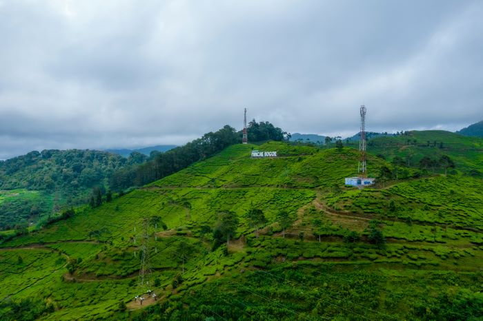 Villa di Puncak Bogor Lokasi Strategis Akses Mudah Harga Cuma 1 Jutaan Doang