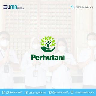 Lowongan Kerja Magang Perum Perhutani, Khusus untuk Beberapa Kampus Ini