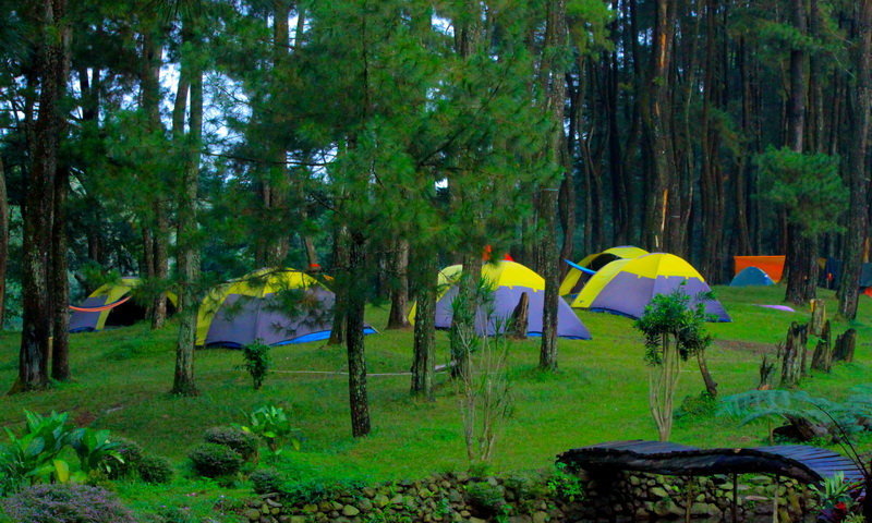Dekat dari Jakarta, Gajog Hill Camp Jadi Tempat Camping di Bogor yang Cocok Buat Keluarga