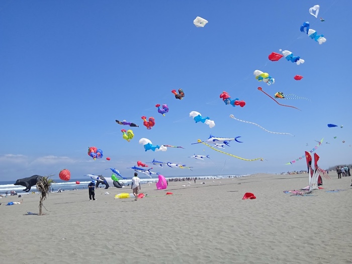 Wisata Pantai Terseru di Jogja HTM Murah Penuh Pesona dan Keunikan untuk Liburan Tahun Baru 2025
