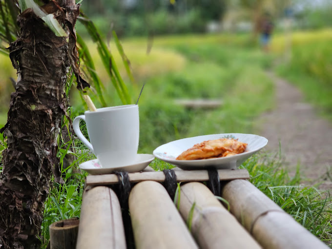 10 Tempat Makan dengan View Sawah di Yogyakarta, Semriwing Banget Suasananya