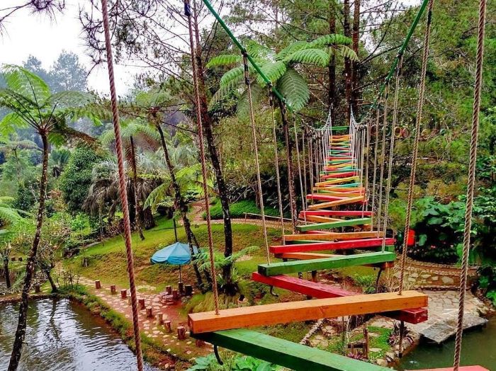 Puncak Bogor Punya Tempat Wisata Keluarga Paket Komplit, Liburan di Sini Pulangnya Nggak Bakal Nyesal Karena Seseru Itu!