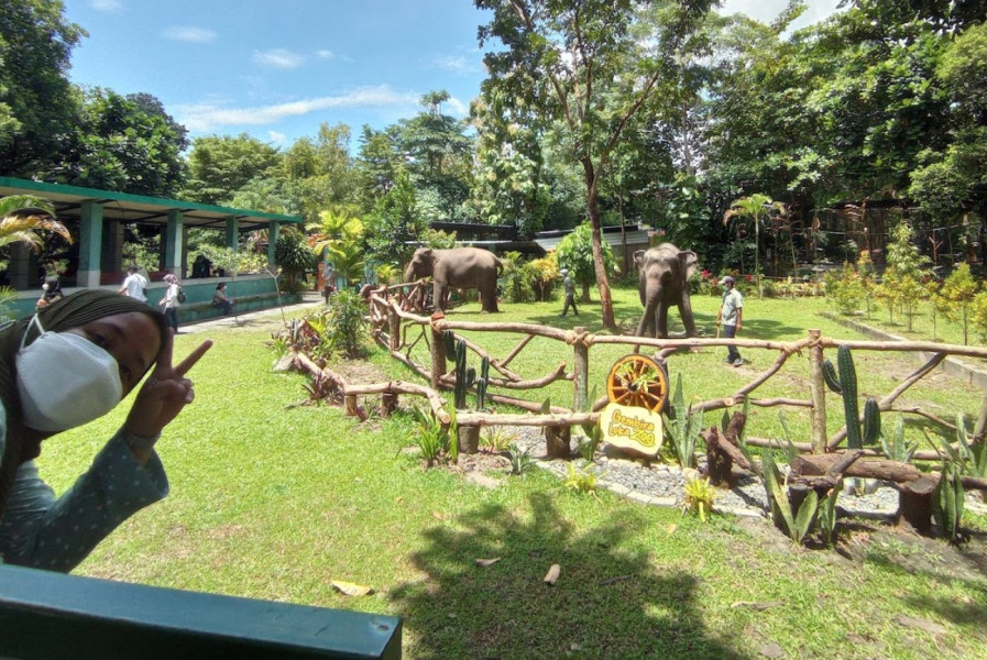 Gembira Loka Zoo Yogyakarta Sambut Liburan Lebaran 2024 dengan Promo Tiket Masuk Murah Meriah