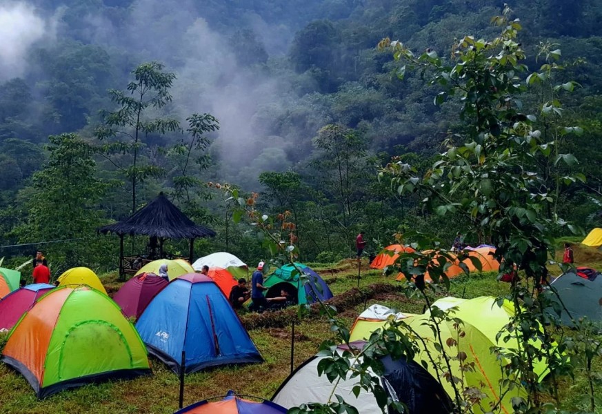 Wisata Pekalongan Hits Terbaru Pemandangan Hutan Hijau yang Luas dan Habitat Alami Cagar Alam yang Dilindungi di Petungkriyono