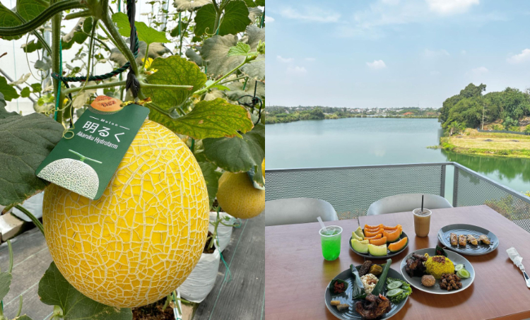 Wisata Petik Melon di Tangerang, Bonus Nongkrong Cafe Tepi Danau dengan View Estetik