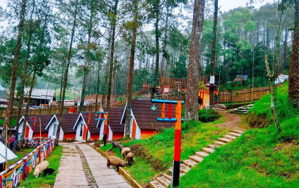 Ada Destinasi Wisata Keluarga di Tawangmangu Berupa Taman Bermain di Kaki Gunung Lawu Namanya Wisata Lawu Park, Bisa Glamping dan Live Musik