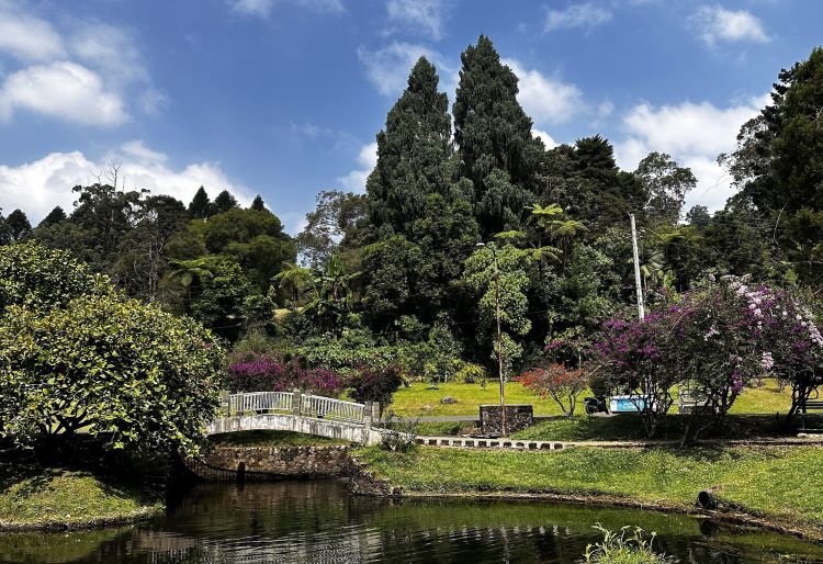 Wisata Keluarga di Puncak Bogor dengan Keindahan Alam yang Menawan dan Kids Friendly