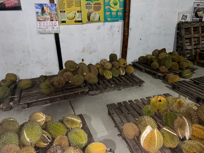 Cari tempat Makan Durian di Yogyakarta? Ini 5 Rekomendasi Tempat yang Bisa Kamu Datangi