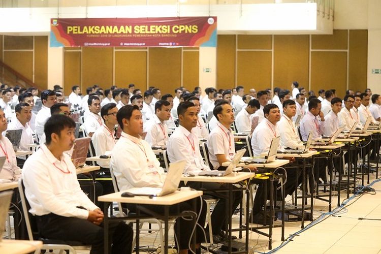 Daftar Formasi CPNS 2024 Kota Depok Tersedia 113 Lowongan Cek Lengkapnya!