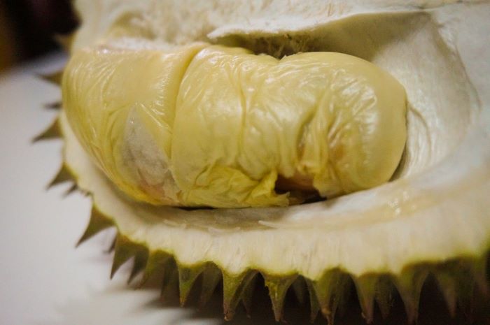 Buka Puasa di Bogor Makan Durian All You Cant Eat Legit di Durian Keliling Store Harga Terjangkau