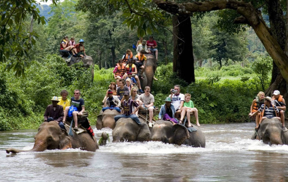 Wisata di Bali Ini Bisa Naik Gajah, Nonton Animal Show, Tiger Show, dan Elephant Show, Piknik Keluarga ke Bali Safari and Marine Park