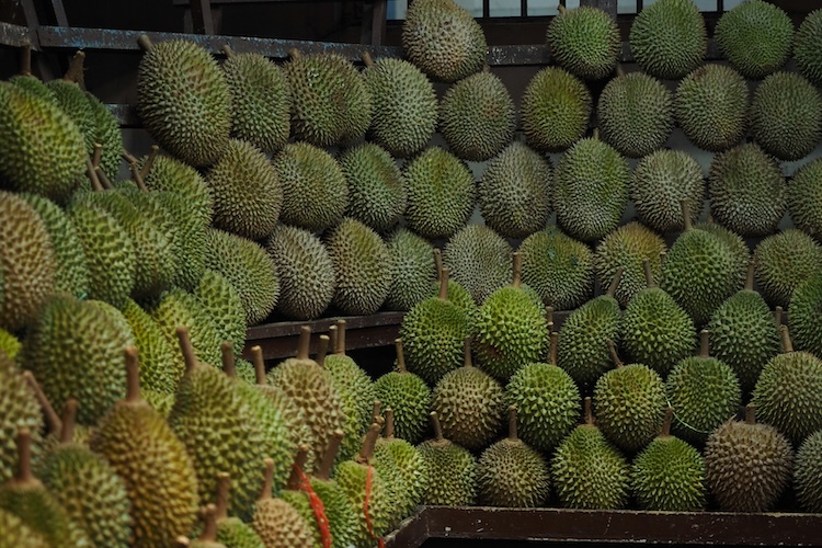Makan Durian Rancamaya Asli Khas Bogor yang Cukup Langka! Lihat Pohonnya yang Berusia Ratusan Tahun!