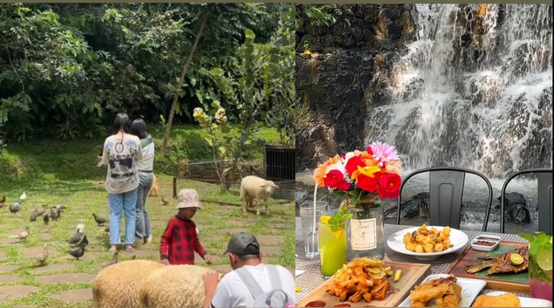 Kafe Hits Ini Ternyata Punya Mini Zoo, Udah Kayak Wisata Bogor yang Serba Lengkap Aja Nih!