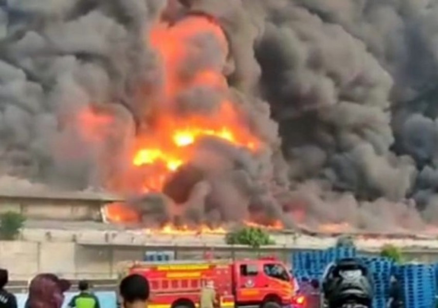 Kebakaran Hebat di Pabrik Kayu Lumajang, Video Viral yang Mengguncang Media Sosial
