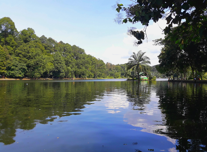 Wisata Alam di Kota Bogor Situ Gede Healing Gratis Stres Hilang