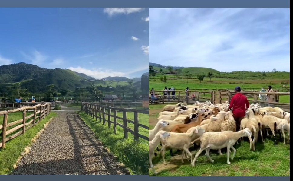 Wisata Banyumas Ini Punya Julukan Sebagai New Zealand di Jawa Tengah, Indah Banget!