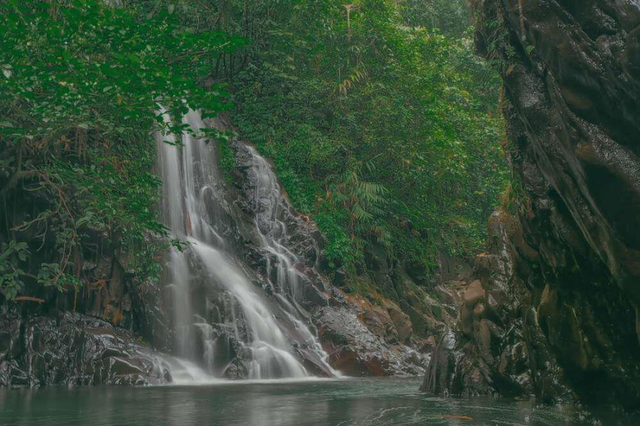 Review Perjalanan Pekalongan ke Dieng Via Hutan Petungkriyono, Banyak Pemandangan Eksotis yang Tidak Terbayangkan