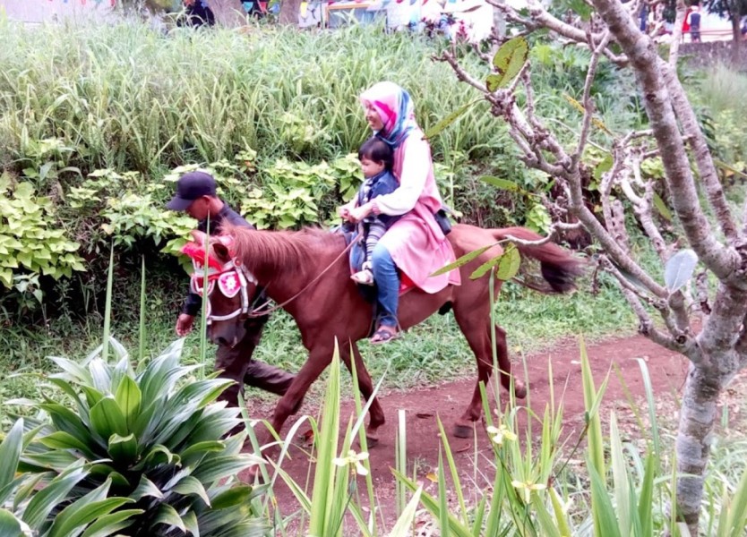 Kota Cimahi Kreatif Banget Punya Wisata Edukasi Anak Kelas Dunia di Wisata Kuda Pakuhaji Bandung