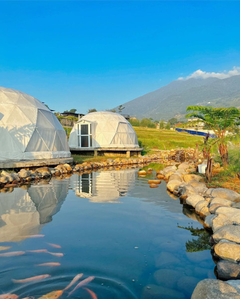 Cuma 2 Jam dari Jakarta, Ada Tempat Glamping di Tepi Sawah dengan Pemandangan Indah Mirip Ubud