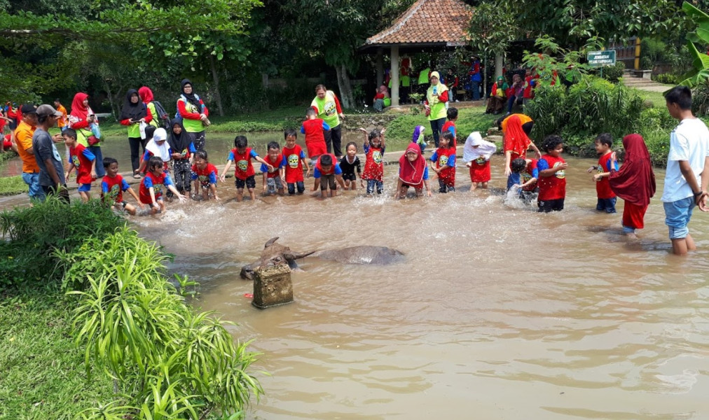 Wisata Edukasi Anak di Bogor Ini Keren Banget Belajar Musik Gamelan, Menanam Padi hingga Membuat Wayang, Hanya di Kampoeng Wisata Cinangneng