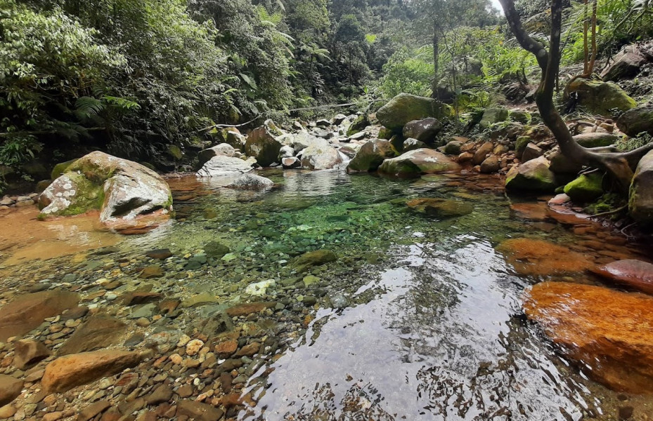 Wisata Alam Ini Menyajikan Kolam Renang Alami yang Warna Airnya Bisa Hujau Tosca Bening, Cobain Destinasi Wisata Namanya Lembah Tepus di Bogor