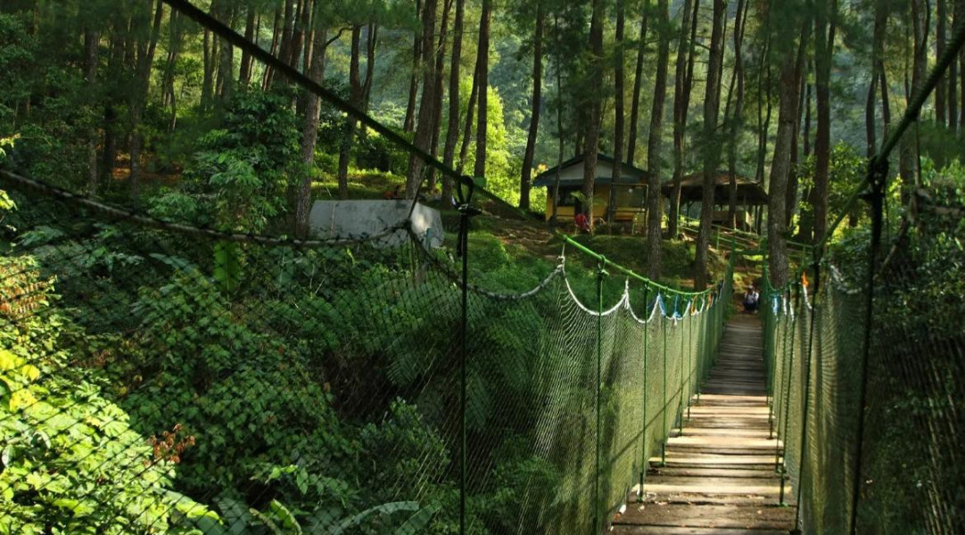 5 Wisata Alam Bogor untuk Menghirup Udara Segar, Pemandangannya Indah Pol!