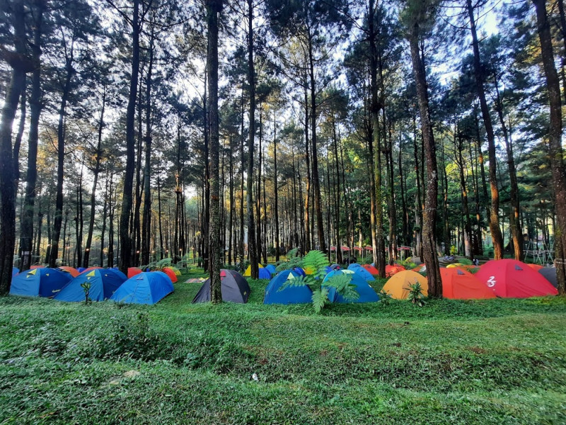 Sikembang Park Destinasi Wisata Alam yang Menawan di Kabupaten Batang