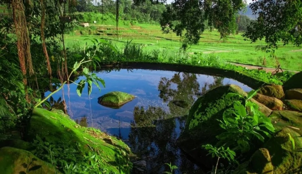 Berenang di Mata Air Sejernih Embun di Wisata Sawah Sumber Gempong Jawa Timur