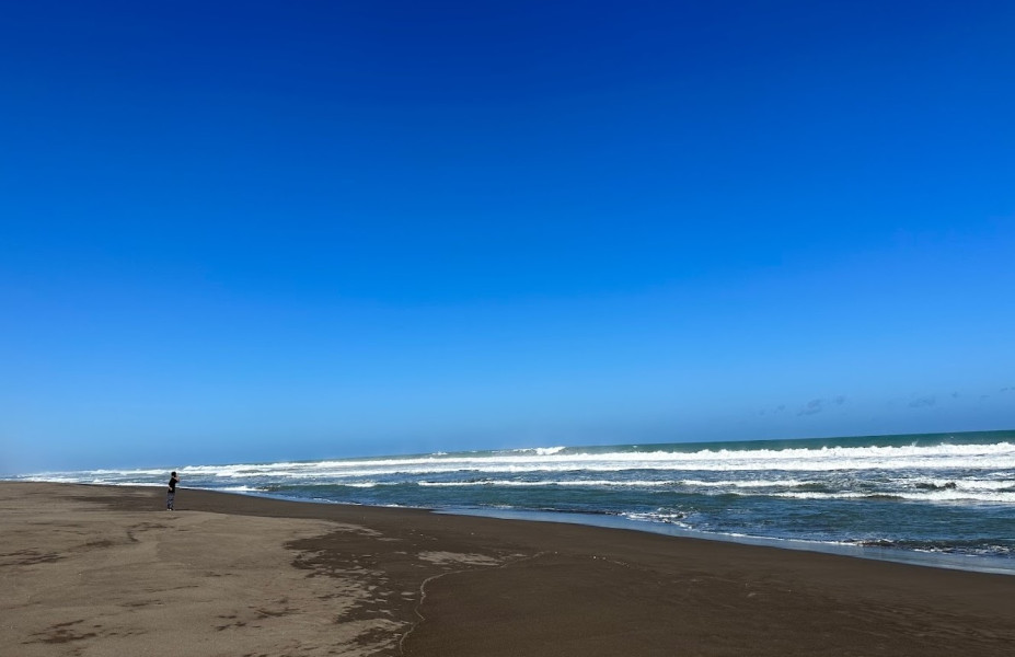 Pantai Baru Ini Masih Gratis dengan Beragam Wahana Budidaya Penyu, Naik Kuda, hingga Permainan ATV Hanya di Pantai Kembar Kebumen