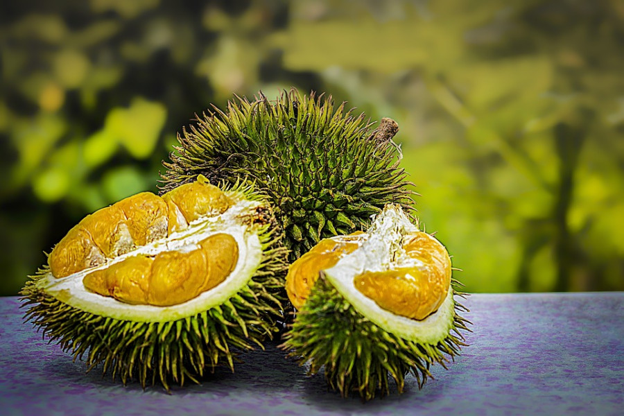 Masih Mau Wisata Kuliner Sambil Ngabisin Jatah Libur? ke All You Can Eat Durian Aja