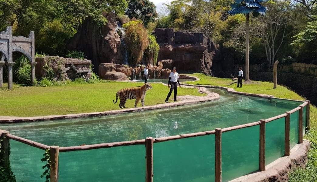 Wisata Seru dan Ramah Anak di Bali Safari Marine Park, Tempat Wisata Alam Terbaik untuk Liburan Keluarga