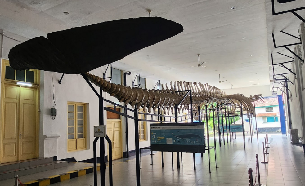 Jelajah Sejarah Pertanian dan Fauna Indonesia di Museum Tanah Pertanian Bogor dan Museum Zoologi Bogor