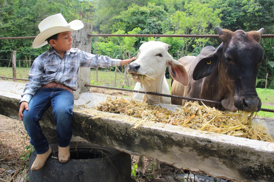 Mau Main Koboi-koboian yang Kids Friendly di Puncak Bogor, Ajak Orang Serumah ke Sini Biar Seru