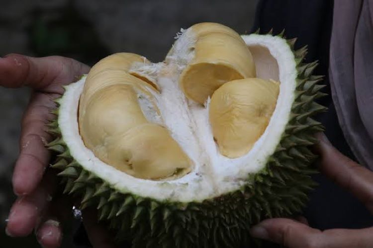 4 Tempat Makan Durian di Bogor Harga Murah Makan Sampai Puas!