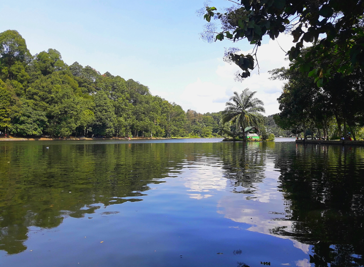 Rekomendasi 3 Wisata Alam di Kota Bogor Tempat Bersemedi di Tengah Hiruk Pikuk Kota