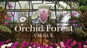 4 Spot Insagramable Kekinian di Orchid Forest Cikole Lembang, Bisa Healing Sambil Eksis di Medsos Pakai Foto Cakep