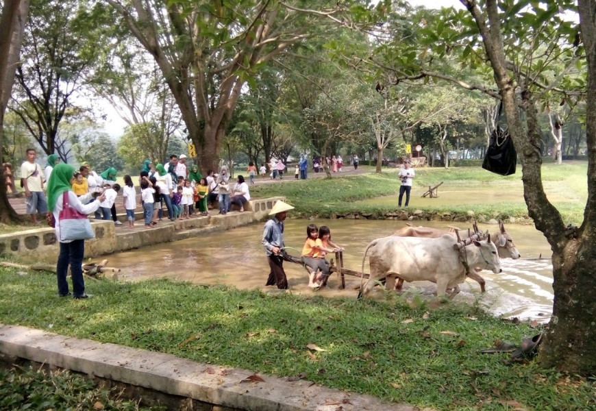 Sekolah Mau Ngadain Camping Bisa Merapat ke Kebun Wisata Pasirmukti Bogor, Banyak Wahana Edukasi Siswa-siswi