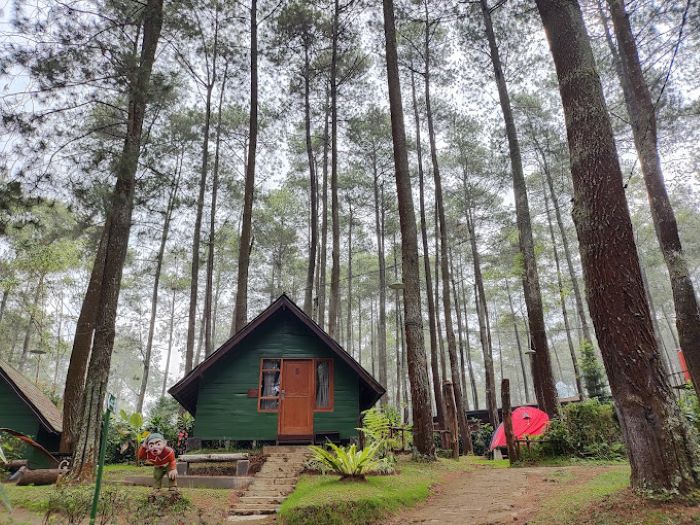 Tempat Wisata di Bandung Ini Bagaikan Bersembunyi di Dalam Hutan Bikin Bisa Tenang Banget, Yakin Betah Deh!