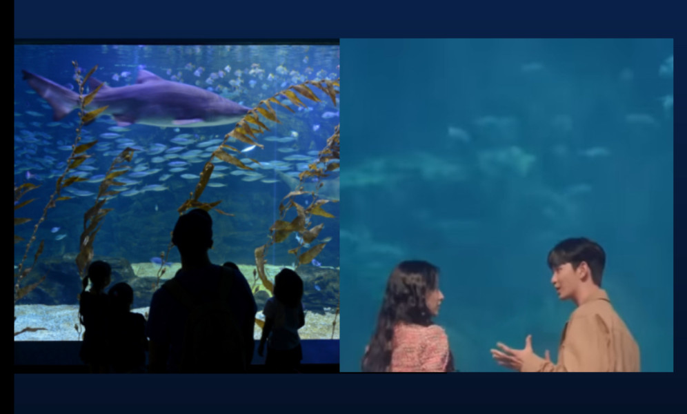 Wisata Aquarium Lokasi Lamaran Kim Ji Won dan Kim Soo Hyun Dimana? Vibes Jadi Romantis Banget!
